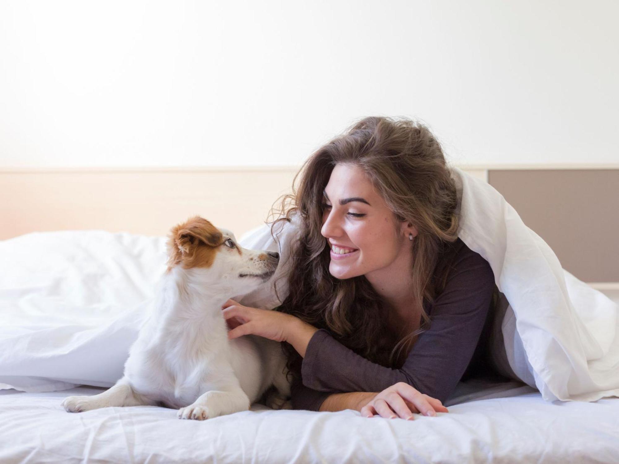 Apartamentos Pie De Pistas Mikka 3000 파스데라까사 외부 사진